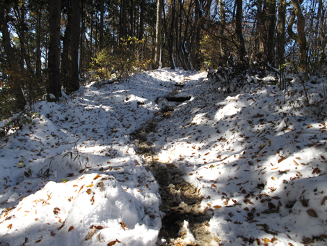 20161125hike (137)